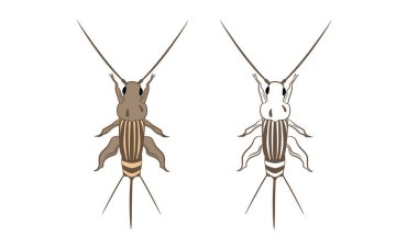 Cricket veya Grylloidea Vektör İllüstrasyon Doldurma ve Özet Beyaz Arkaplanda İzole Edildi. Böcekler, Böcekler, Böcekler, Böcekler ve Sinekler. Böcek Bilimi veya Böcek Kontrolü İş Grafikleri.