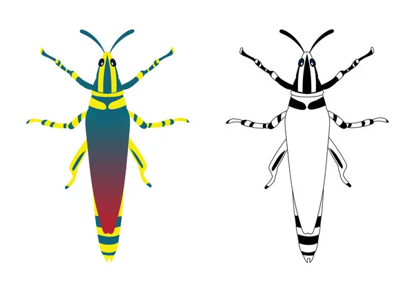 蚱蜢或蝗虫病媒图解填充和轮廓分离的白色背景 昆虫虫虫 虫虫和苍蝇 昆虫或害虫控制商业图形元素 — 图库矢量图片