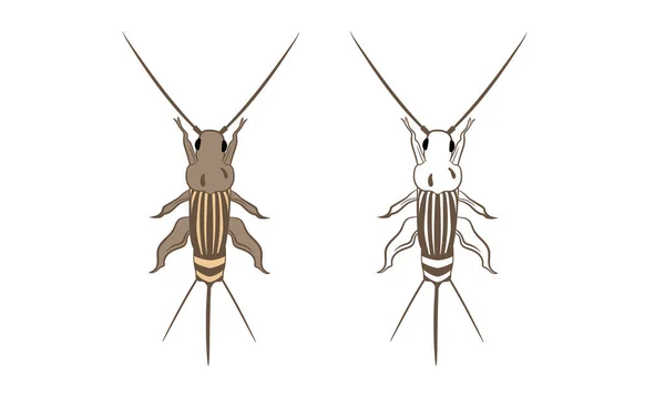 Cricket veya Grylloidea Vektör İllüstrasyon Doldurma ve Özet Beyaz Arkaplanda İzole Edildi. Böcekler, Böcekler, Böcekler, Böcekler ve Sinekler. Böcek Bilimi veya Böcek Kontrolü İş Grafikleri.