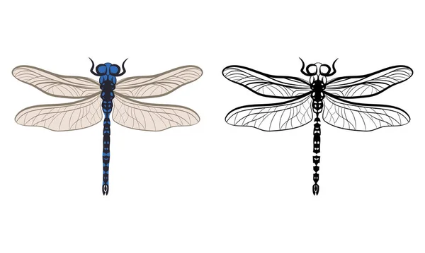 Dragonfly Anisoptera Vector Illustration Fill Outline Isolated White Background Insetos —  Vetores de Stock