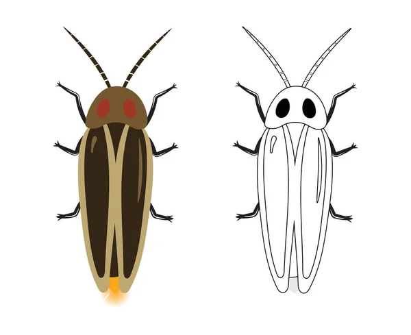 Firefly Eller Lampyridae Vector Illustration Fyld Kontur Isoleret Hvid Baggrund – Stock-vektor