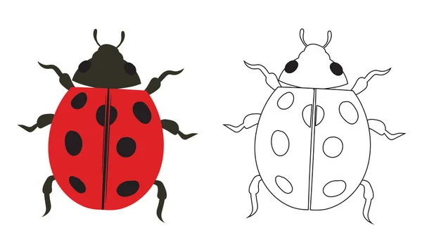 Uğurböceği uğur böceği resimli doldurma ve özet beyaz arka planda izole edildi. Böcekler, Böcekler, Böcekler, Böcekler ve Sinekler. Böcek Bilimi veya Böcek Kontrolü İş Grafikleri.