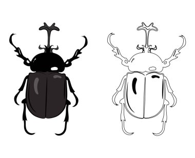 Gergedan ya da Böcek 'in gerçekçi üst görüntüsü. Beyaz Arka plan 'da izole edilmiş. Böcek, Böcek, Böcek, Böcek ve Sinekler..