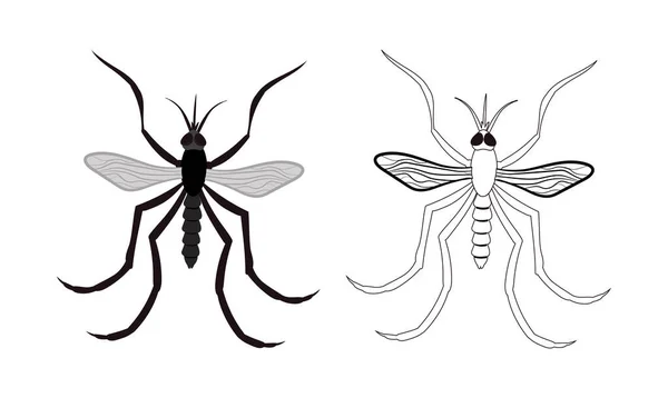 Ilustração Realista Mosquito Mosca Pequena Isolado Fundo Branco Insetos Insetos — Vetor de Stock