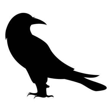 Siyah Karga Kara Kuş siluetine karşı Beyaz Arkaplan Gökyüzü Yok. Boş Vektör