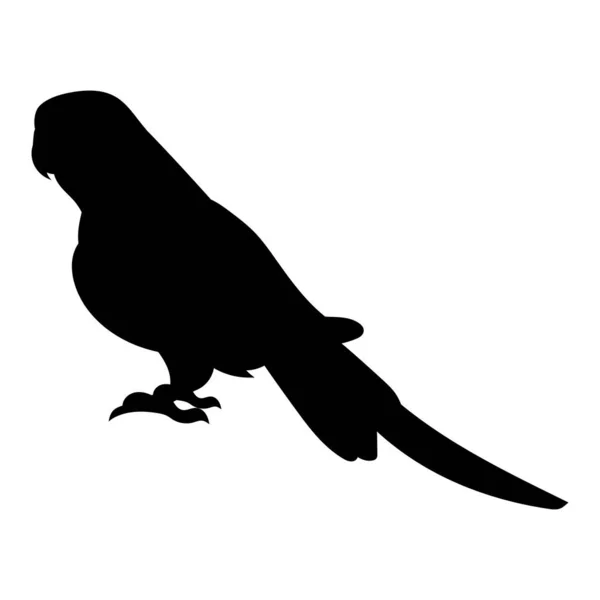 Pigeon Debout Avec Ombre Silhouette Oiseau Noir Sur Fond Blanc — Image vectorielle