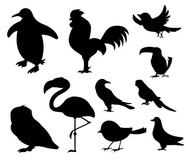 Ptaki Różnych Części Świata Zwykłe Ptaki Pingwin Kurczak Wróbel Dodo — Wektor stockowy