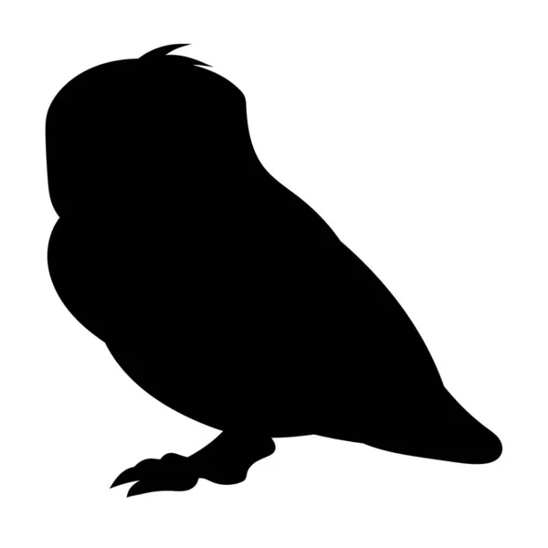 Búho Nocturno Pie Silueta Pájaro Negro Contra Fondo Blanco Sin — Vector de stock