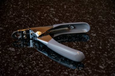 Evcil hayvanların pençelerini kesmek için makas..