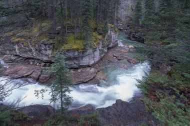 Vahşi nehir Kanada 'nın Alberta eyaletindeki Jasper Ulusal Parkı' ndaki Maligne Kanyonu 'nun dik uçurumları arasında hızla akar. Kanada Kayalıkları ormanlarında bulutlu, yağmurlu bir gün..