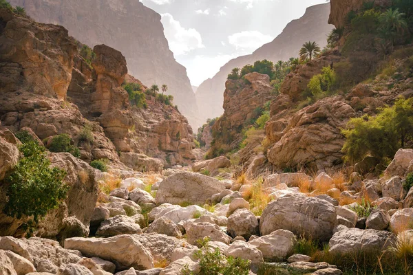 Garganta Wadi Tiwi Omán Hermosa Naturaleza Salvaje Valle Del Desierto — Foto de Stock