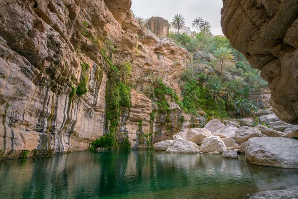 ワディTiwi オマーンの峡谷で美しい自然プール 周りの砂岩の崖やヤシの木と緑の水 アラビア砂漠の緑のオアシス アラビアの精神 — ストック写真
