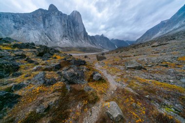 Mt. Dağın güneybatı yüzünün ultra geniş açılı görüntüsü. Thor, bulutlu bir Eylül gününde dünyanın en yüksek dikey uçurumu. Kanada, Baffin Adası, Akshayuk Geçidi 'nin uzak kutup vadisinde yürüyüş..