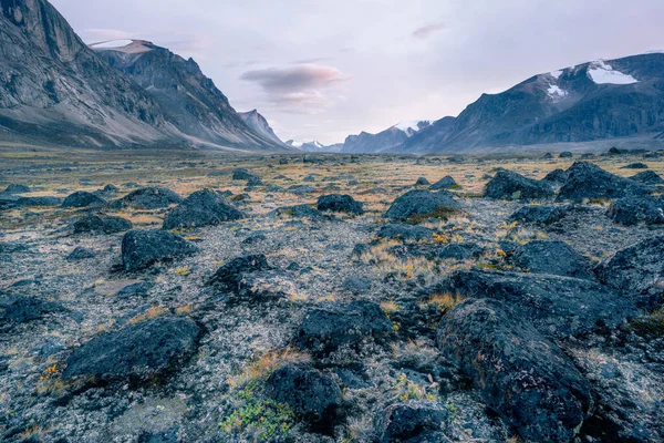 Stony Mossy Floor Remote Arctic Valley Summer Evening Wild Nature — Stock Photo, Image