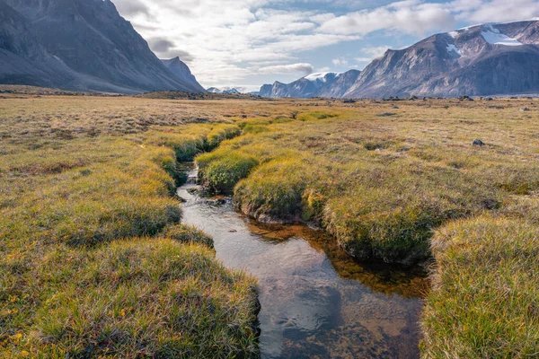 Stream Winds Wild Arctic Landscape Akshayuk Pass Baffin Island Canada — Stock Photo, Image