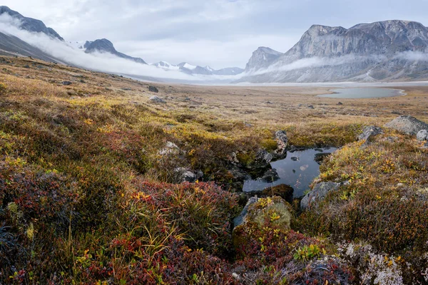 Dia Chuvoso Nebuloso Remoto Vale Ártico Akshayuk Pass Baffin Island — Fotografia de Stock