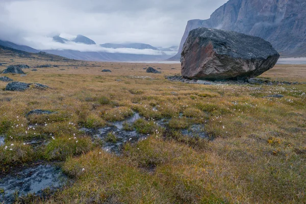 Regnerischer Nebliger Tag Abgelegenen Arktischen Tal Des Akshayuk Pass Baffin — Stockfoto