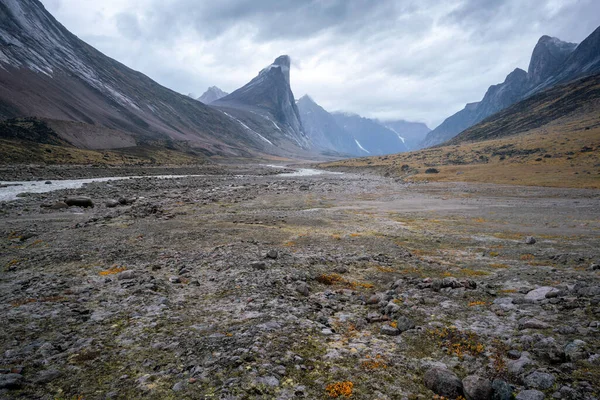 Wild Weasel River Winds Remote Arctic Valley Akshayuk Pass Baffin — Stock Photo, Image