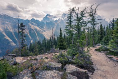 Banff Ulusal Parkı, Alberta, Kanada 'daki Büyük Arı Kovanı' na giden yolun görüntüsü. Alp Vadisi 'nin üzerindeki dik kayalıklar. Yaz sisli dağ sıraları. Dağ çamları ve gökyüzündeki dramatik bulutlar.