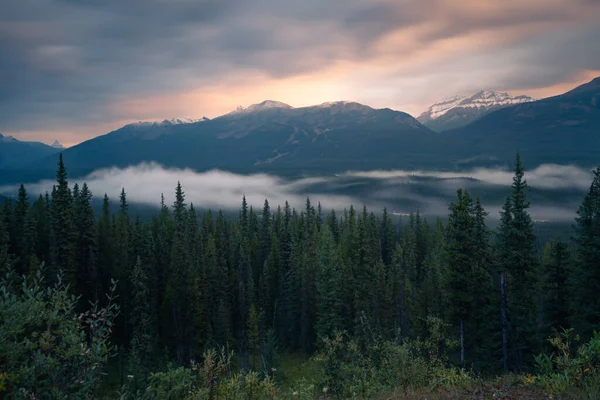 早朝にバンフ国立公園の谷を流れる霧の長い露出 カナダのロッキー山脈では青い時間 アルバータ州の山の朝 — ストック写真
