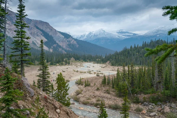 カナダのバンフ国立公園では 9月の非常に寒さと曇りの日に氷河の滝のトレイルを弓 厳しい天候でカナダのロッキー山脈の野生の性質 劇的な雲 巻き川 — ストック写真