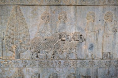 İran 'ın antik Persepolis şehrinin kalıntıları, heykelleri ve duvar resimleri. Antik Pers İmparatorluğunun en ünlü kalıntıları..