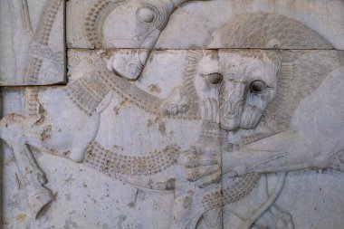 İran 'ın antik Persepolis şehrinin kalıntıları, heykelleri ve duvar resimleri. Antik Pers İmparatorluğunun en ünlü kalıntıları..