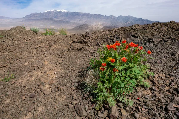 La cordillera Karkas se eleva por encima del desierto en la provincia de Isfahán de Irán. Pueblo de Tarq a continuación. — Foto de Stock