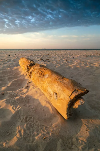 Primer plano vertical de tronco de madera que yace en la playa en hora dorada, con cielo dramático y buque de carga en el horizonte distante. Temprano en la mañana de verano en la orilla del Báltico en Hel, Polonia. —  Fotos de Stock