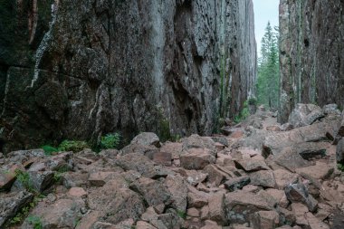 İsveç 'in Skuleskogen Ulusal Parkı' ndaki Slattdalskrevan Kanyonu. Bulutlu bir yaz gününde sert kayada dar bir yarık. İsveç 'te High Coast Trail boyunca yürüyüş. Hohe Kustenleden yolu.