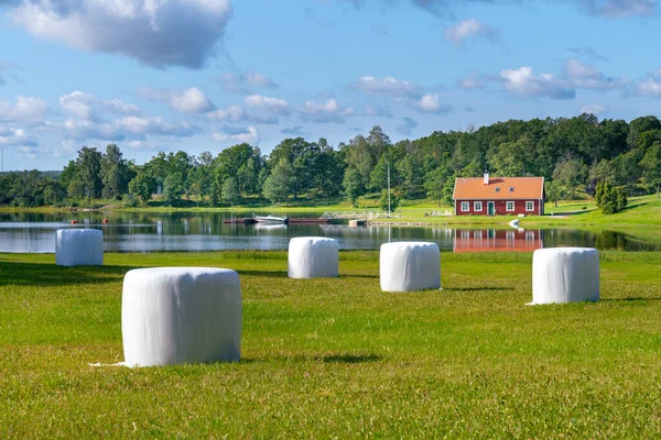Typical red wooden house in countryside by the sea in nature of southern Sweden on a beautiful sunny summer day. White heystacks in front. Relaxing rural landscape. — Stock Photo, Image