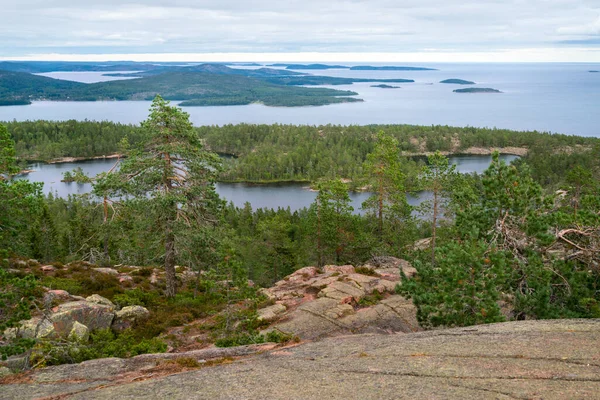 Uitzicht op de Oostzee en de Botnische Golf vanaf de top van de rots in Skuleskogen nationaal park, Zweden. Wandelen langs de High Coast trail, Hoha Kustenleden. — Stockfoto