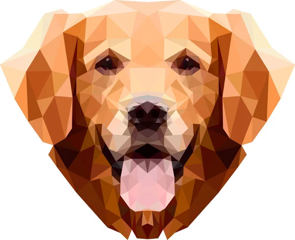 Golden retriever Labrador face — Stock Vector