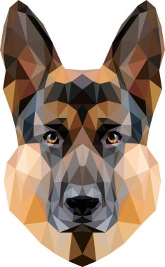 Alman çoban köpeği resimle karşı karşıya