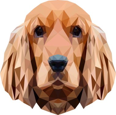 Spaniel yüz çizimi