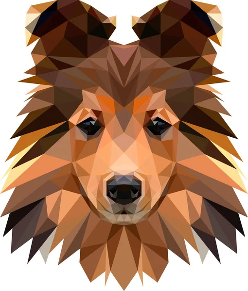 Illustrazione volto Sheltie — Vettoriale Stock