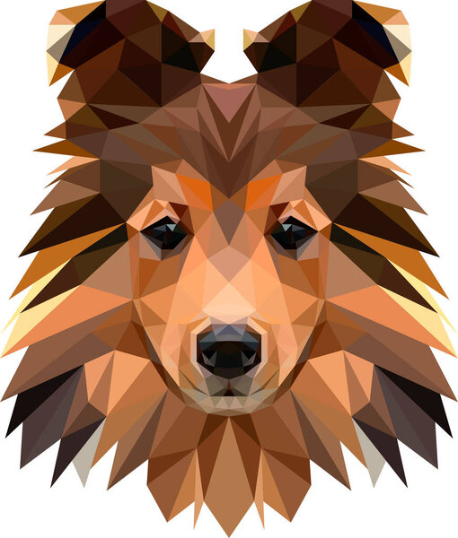 Sheltie face illustration