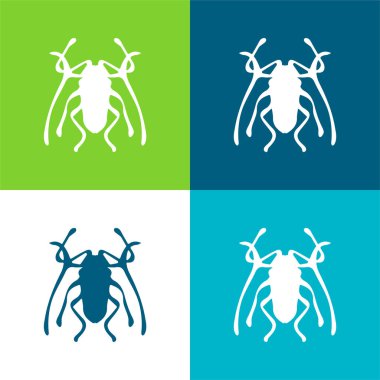 Beetle Insect Trictenotomidae Flat four color minimal icon set clipart