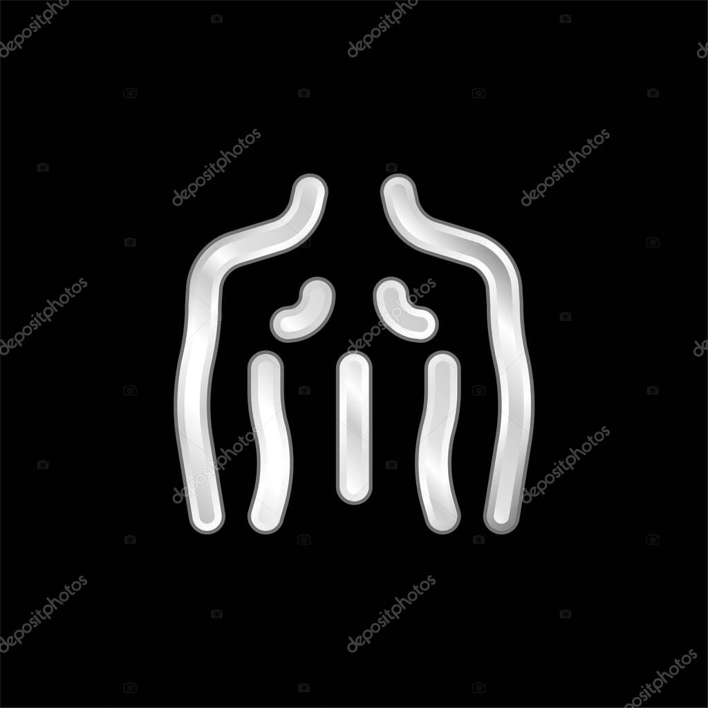 Back silver plated metallic icon