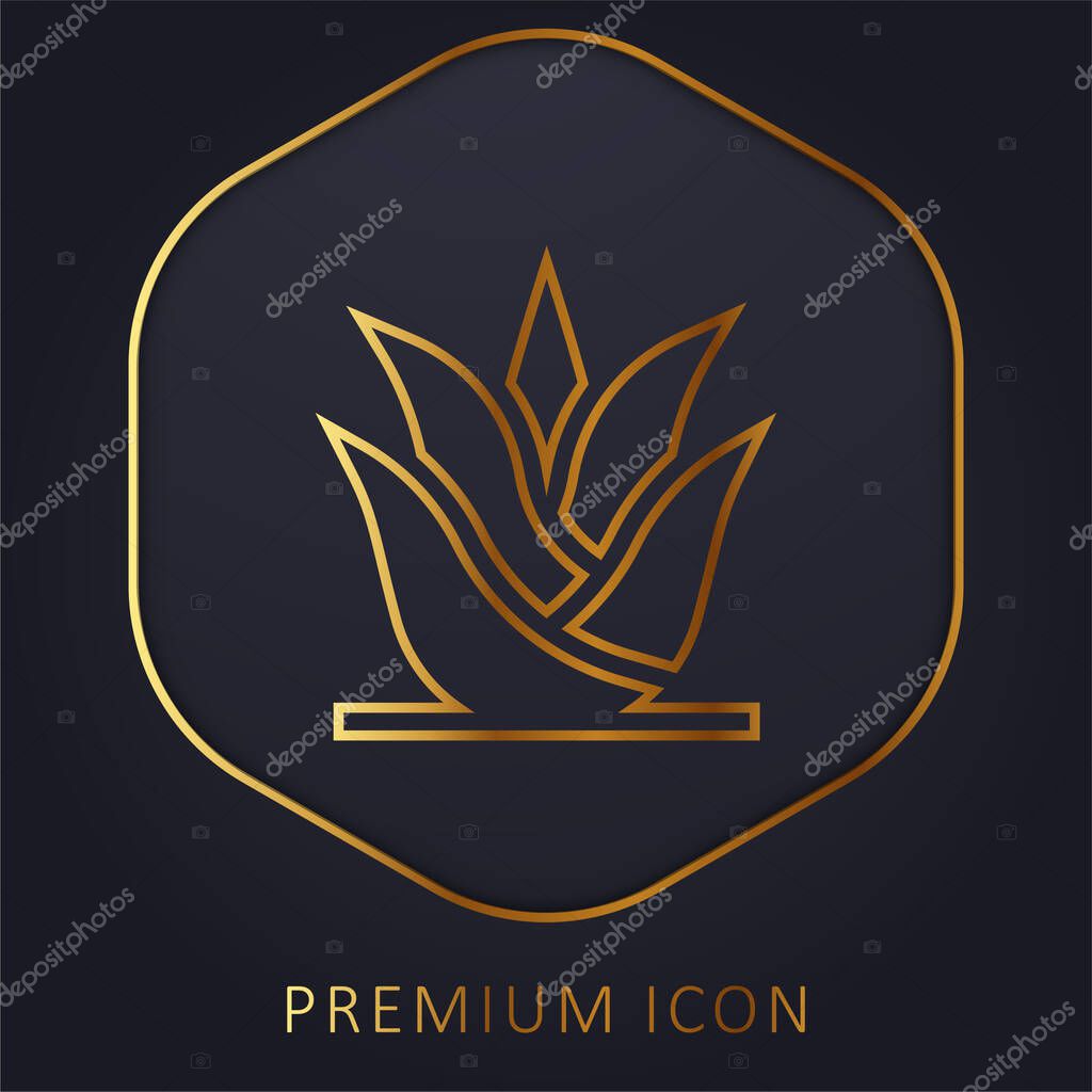 Aloe Vera golden line premium logo or icon