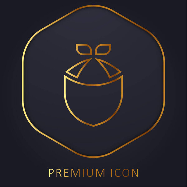 Bandana golden line premium logo or icon