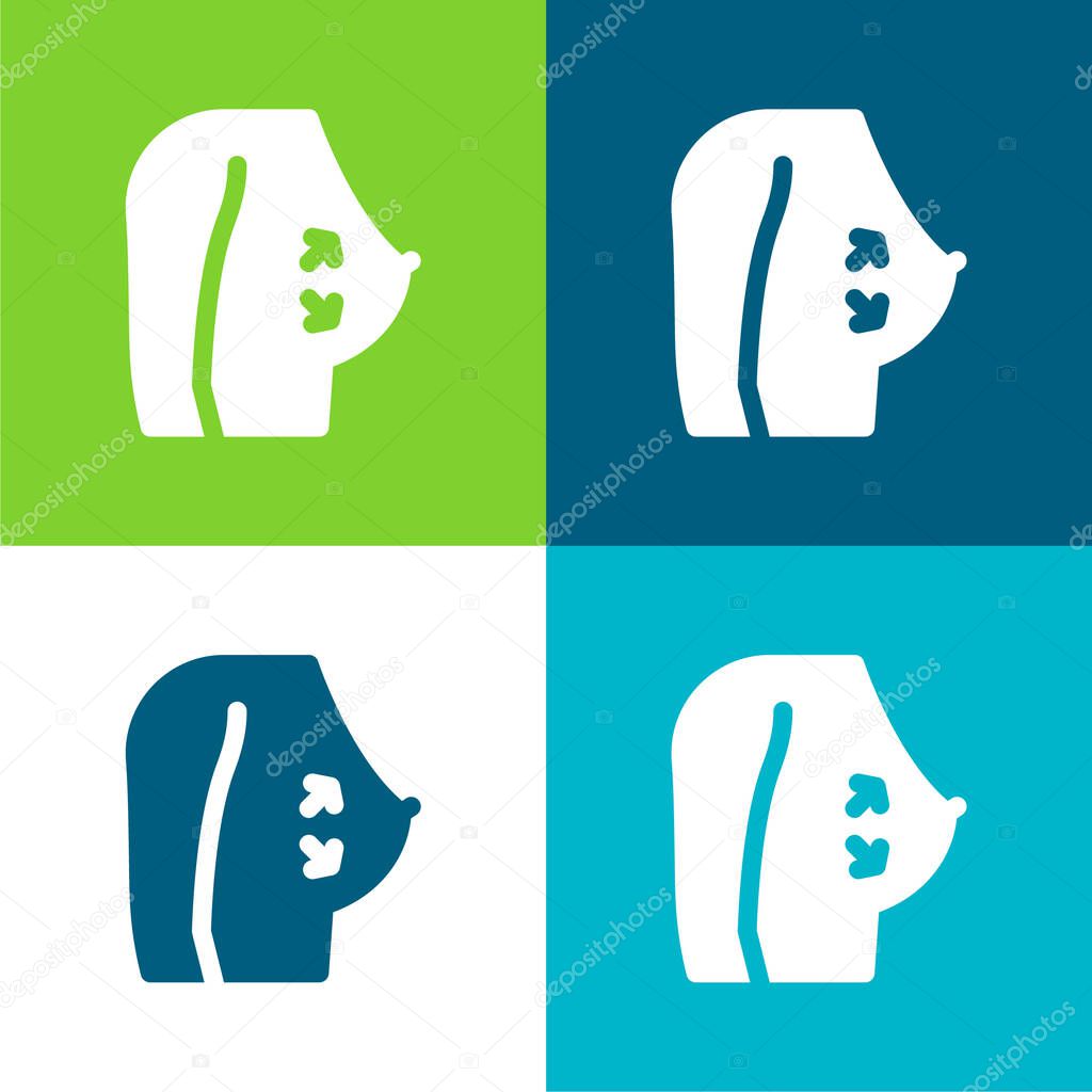 Breast Flat four color minimal icon set