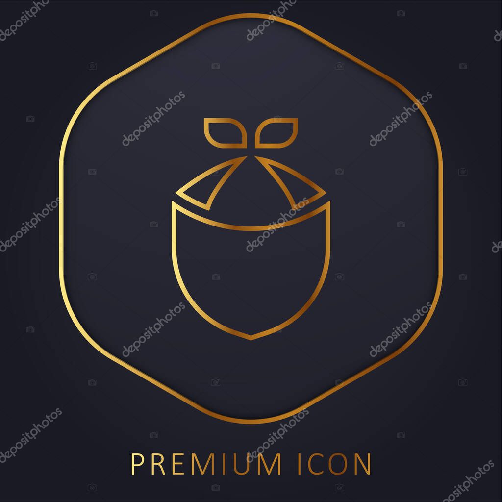 Bandana golden line premium logo or icon