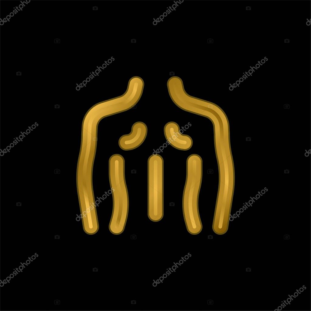 Back gold plated metalic icon or logo vector