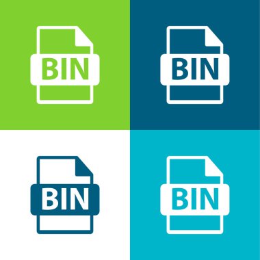 BIN Dosya Biçimi Düz 4 renk minimal simgesi seti