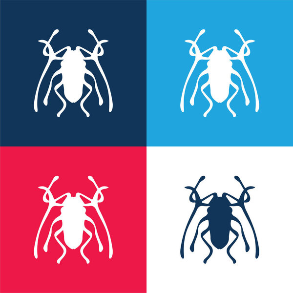 Beetle Insect Trictenotomidae blue and red four color minimal icon set