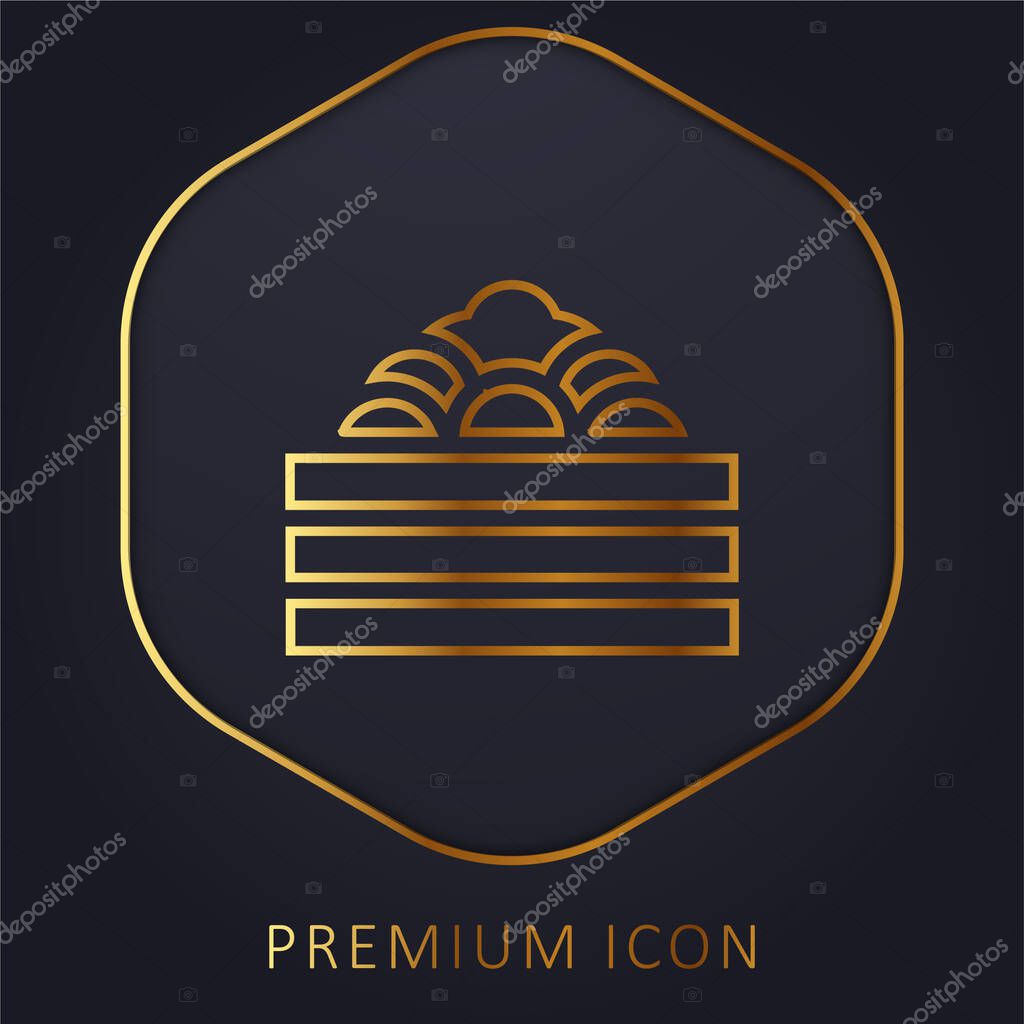 Ball Pool golden line premium logo or icon
