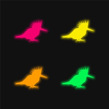 Kuş silueti dört renk parlayan neon vektör simgesi