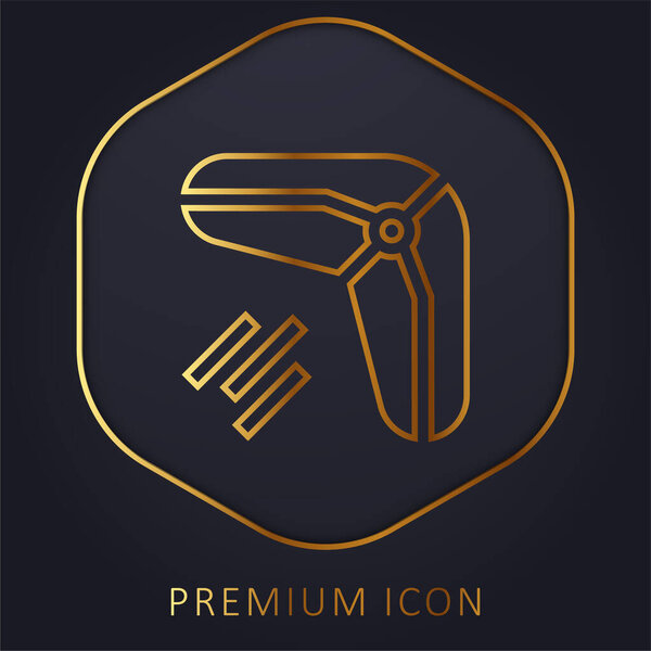 Boomerang golden line premium logo or icon