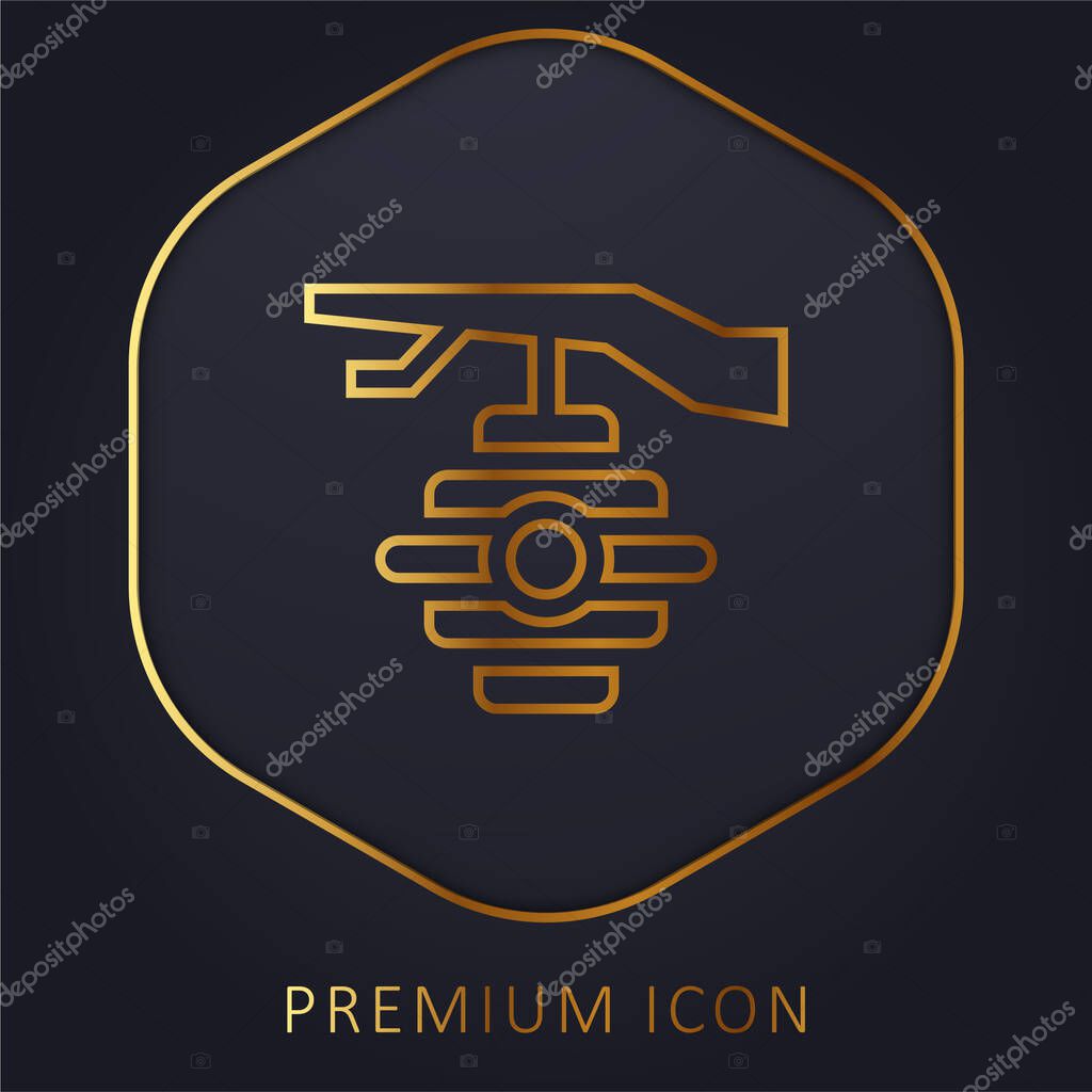 Beehive golden line premium logo or icon